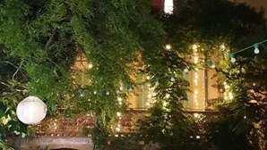 A courtyard with a fountain, surrounded by greenery and a building with string lights. - La Cordeline (Brignoles)
