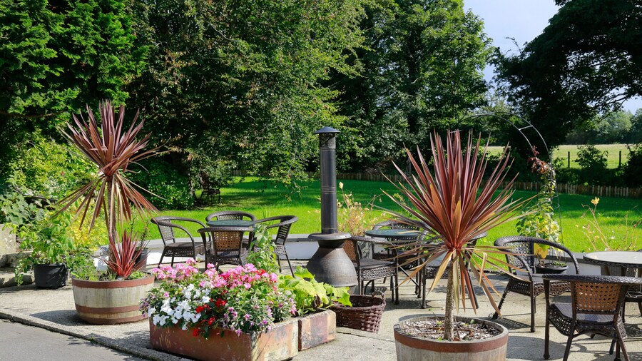 Willow House & Orchard Studios