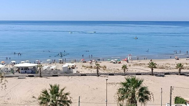 Ein Strand mit klarem, blauem Wasser, Palmen und einigen Personen.