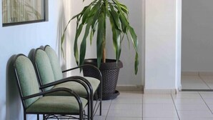 A waiting area with two green upholstered chairs and a large potted plant. - Dallas Hotel (Palotina)