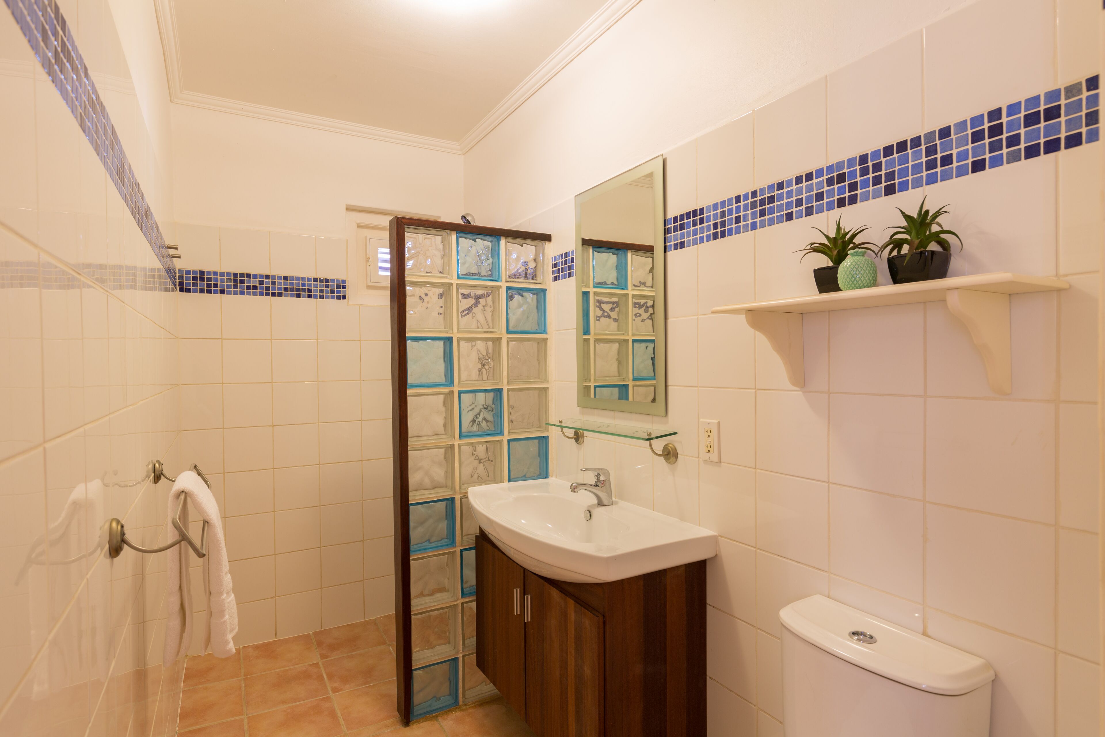 Ein Badezimmer mit Duschkabine aus Glas, Waschbecken in Weiß und Toilette.