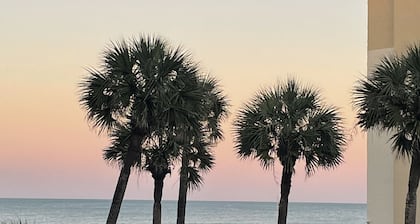 BEAUTIFUL ocean front/view 1 bed condo on NO DRIVE NSB, WIFI