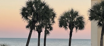 BEAUTIFUL ocean front/view 1 bed condo on NO DRIVE NSB, WIFI