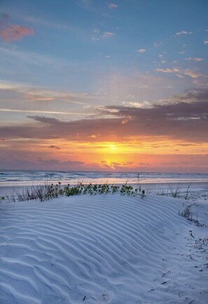 A beach with sand dunes and a sunset. - BEAUTIFUL ocean front/view 1 bed condo on NO DRIVE NSB, WIFI (New Smyrna Beach)
