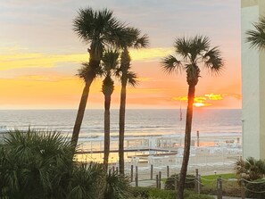 A sunset view with palm trees and a marina.