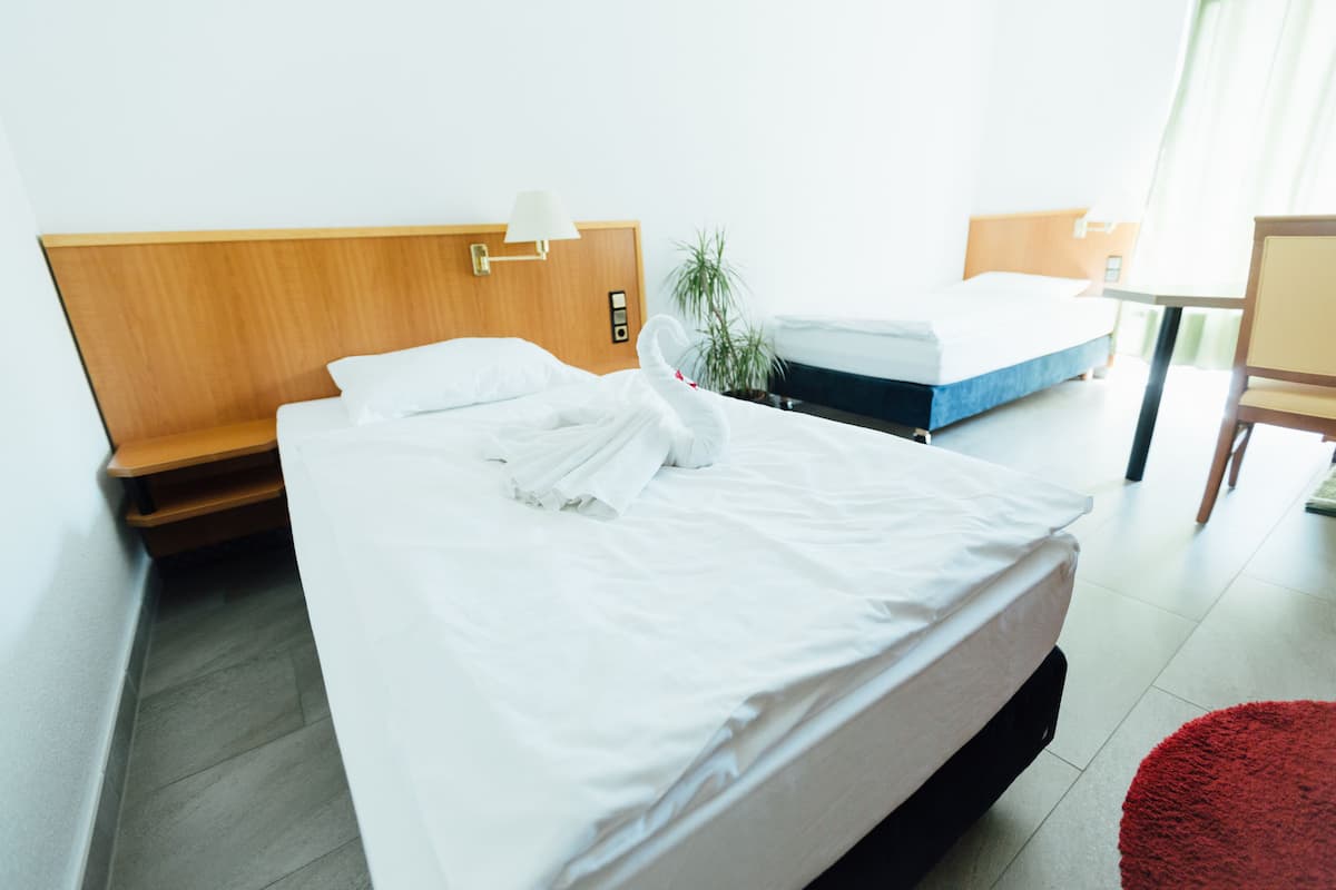 Une chambre d’hôtel avec un lit, une table de chevet, une lampe et une petite plante en pot.