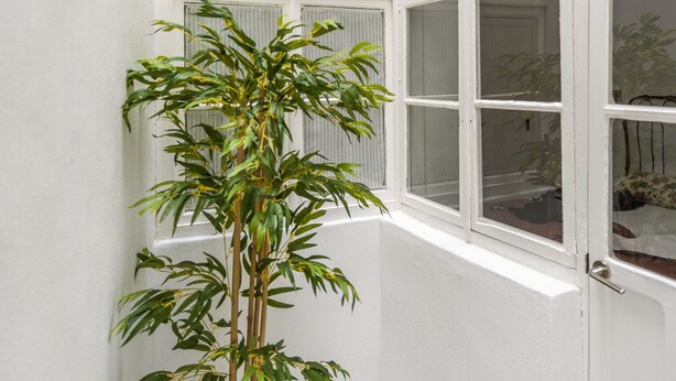 Exterior - Beatiful & Quiet 1Bd Apartment Near the Cathedral, Padre Marchena III (Seville)