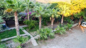 Jardín