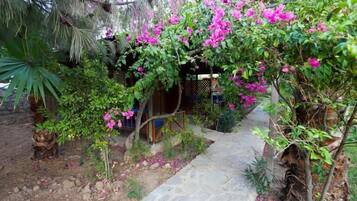 Jardim