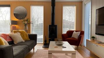 TV connectée, chaîne hi-fi