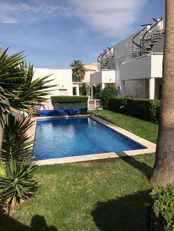 A swimming pool surrounded by well-maintained grass and palm trees, with a modern building in the background.