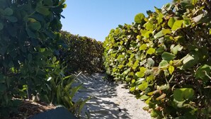 Un sendero bordeado por abundante vegetación que conduce a una zona oscura.