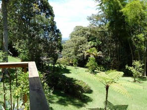 Property grounds - Duplex loft near the Jose Maria Cordoba de Rionegro airport (Rionegro)