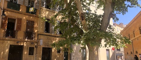 Extérieur