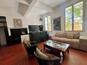 Televisión, chimenea, reproductor de DVD y libros