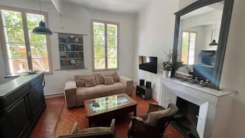 Télévision, cheminée, lecteur de DVD, livres