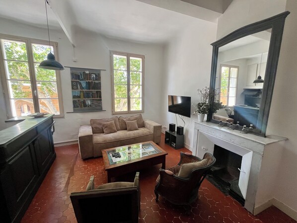 TV, fireplace, DVD player, books