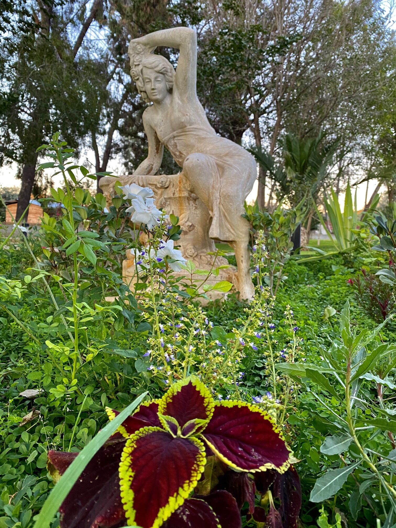A garden statue of a woman in a classical pose surrounded by lush greenery and flowering plants.