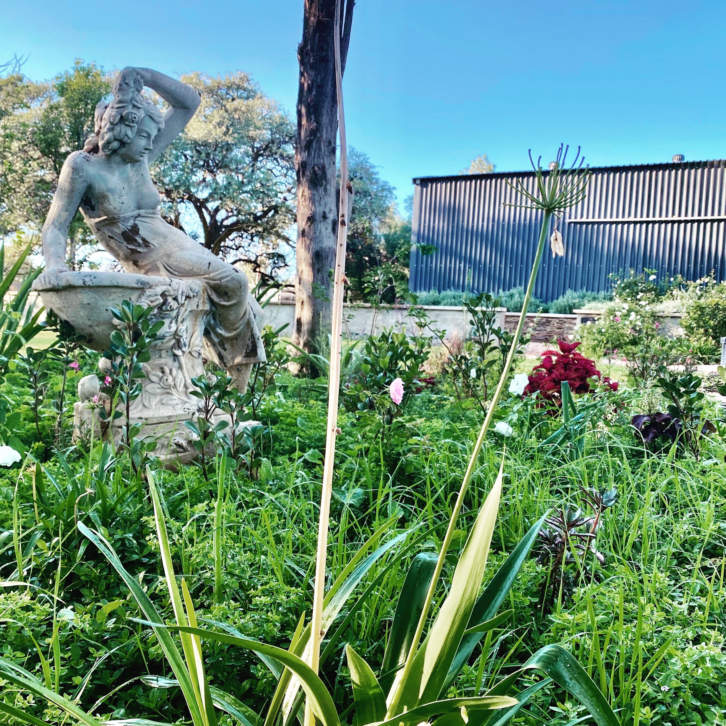 A garden with a statue of a woman, a tree, and a building in the background.