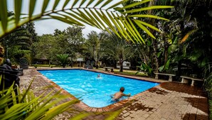 Piscina rodeada por vegetação exuberante e um caminho de tijolos.