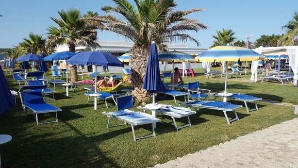 A beachside lounge area with blue and yellow sun umbrellas, lounge chairs, and a palm tree. - holiday home 150 meters from the sea (Lido Marini)