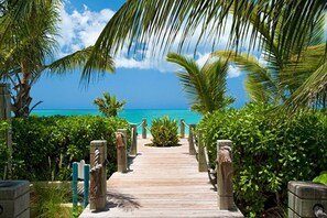 A wooden pathway leading to a beach with palm trees and a clear blue sky.