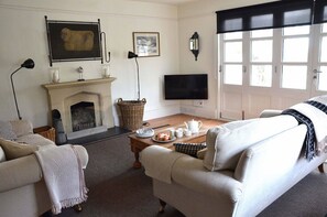 TV connectée, cheminée, Netflix, lecteur de DVD