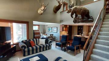 Télévision, cheminée, écrans d'ordinateur, imprimantes