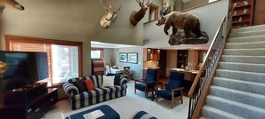 TV, fireplace, computer monitors, printers