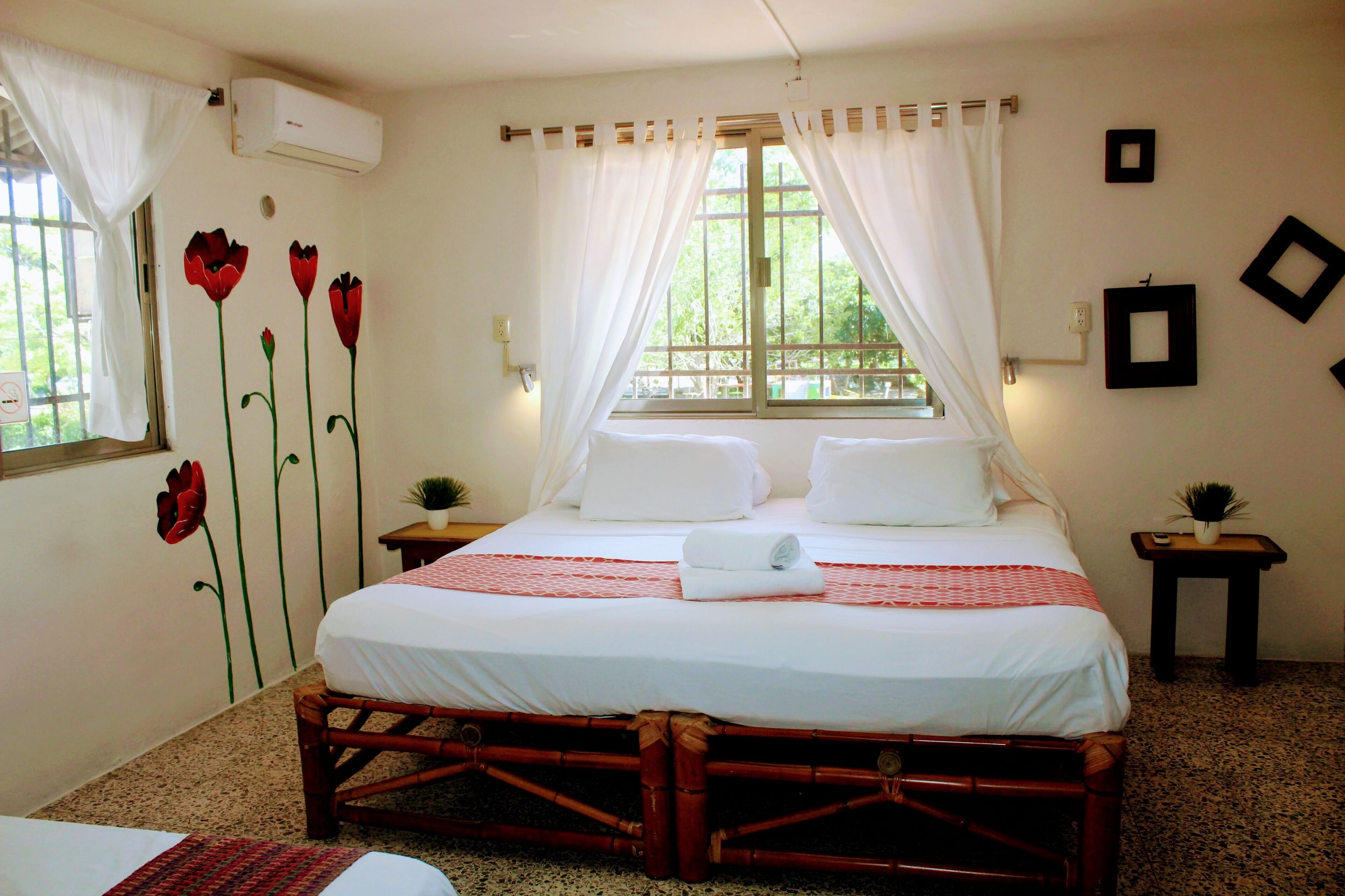 Foto - Pata de Perro Bacalar