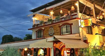 Pata de Perro Bacalar