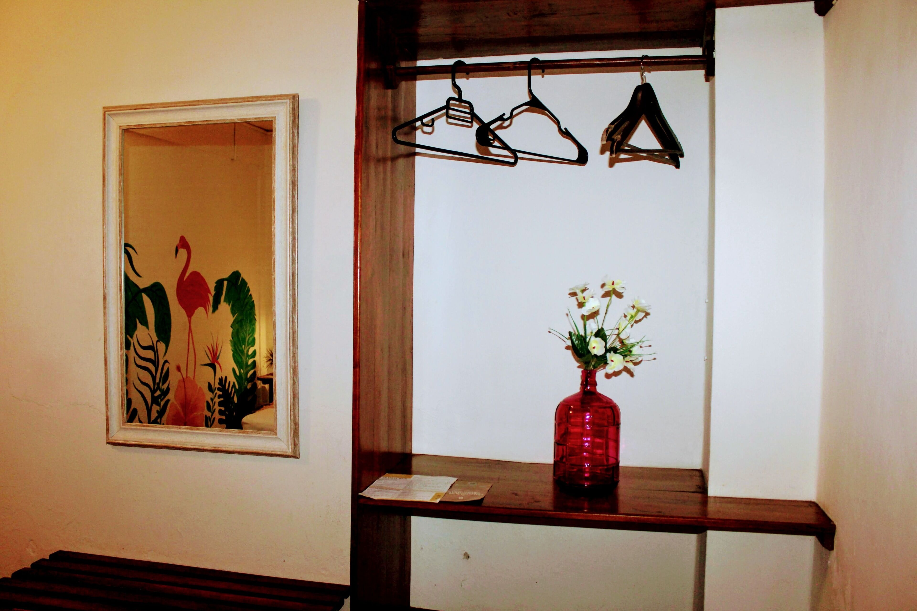 Foto - Pata de Perro Bacalar