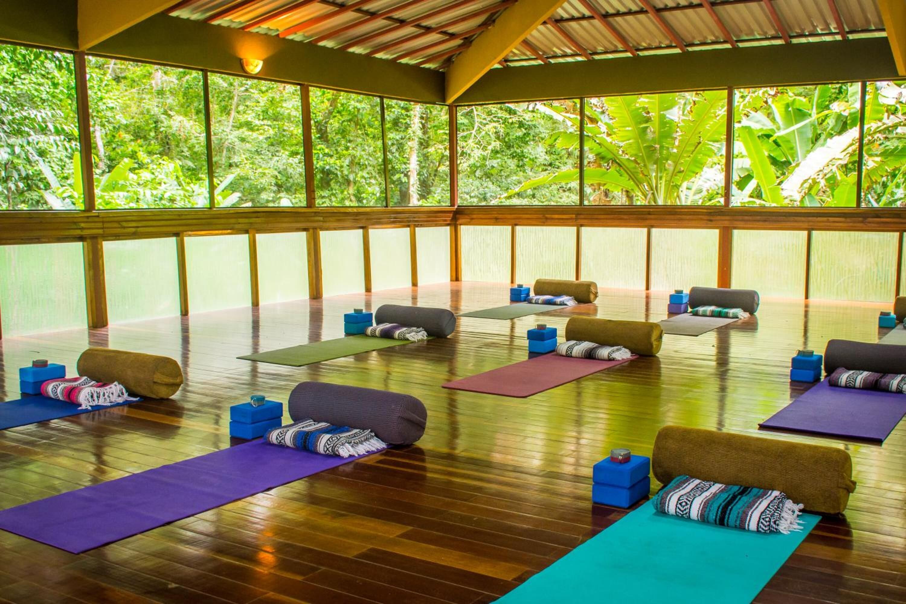 Un estudio de yoga con colchonetas y bloques dispuestos sobre un piso de madera, amplias ventanas con vista a zonas verdes.