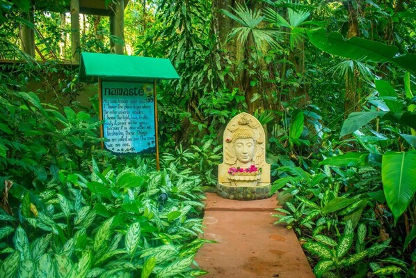 A pathway leading to a Buddha statue surrounded by lush greenery.