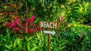 A wooden sign with the word "BEACH" and an arrow pointing to the right, surrounded by lush green foliage. - The Goddess Garden (Cahuita)