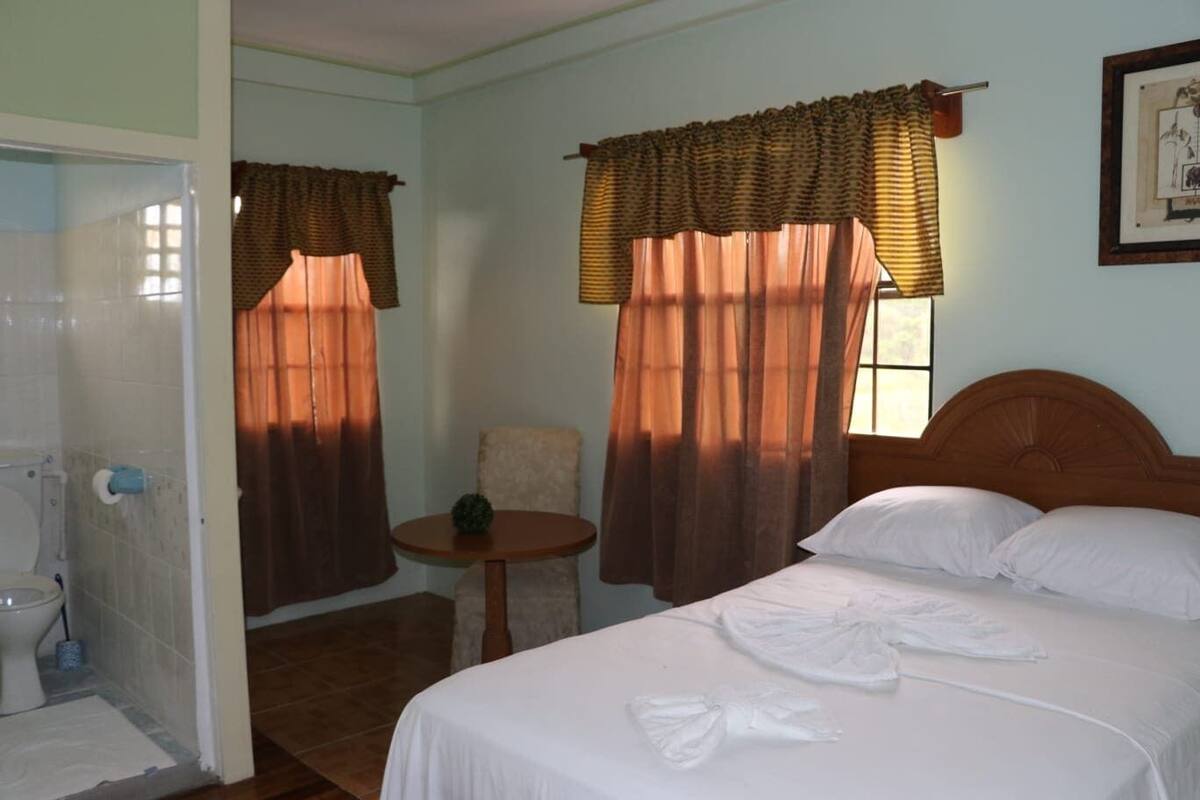 Blackout curtains, soundproofing, iron/ironing board (on request)