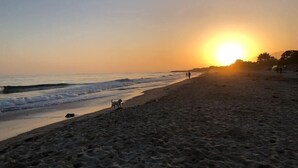 Praia ao pôr do sol com ondas, um cão e pessoas caminhando.