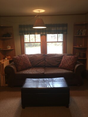 TV, fireplace, DVD player, books - Cute, rustic cabin in Side Lake, No WiFi (Side Lake)