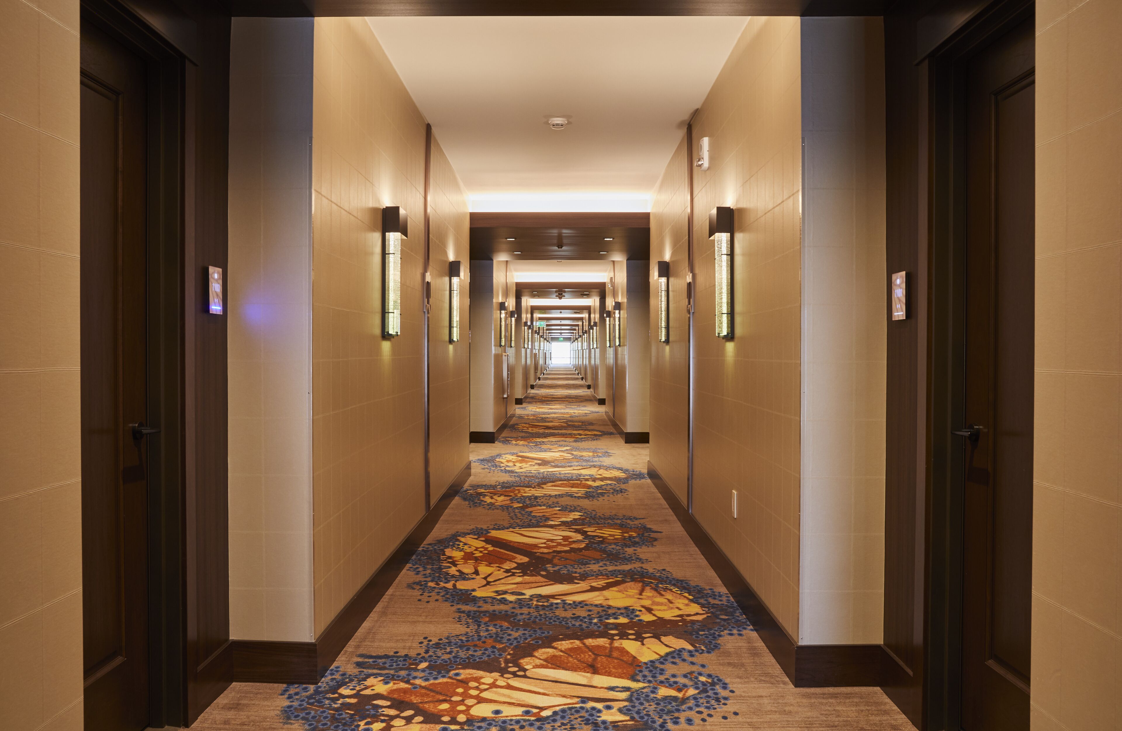 Un pasillo de hotel con piso alfombrado, puertas a ambos lados e iluminación empotrada en la pared.