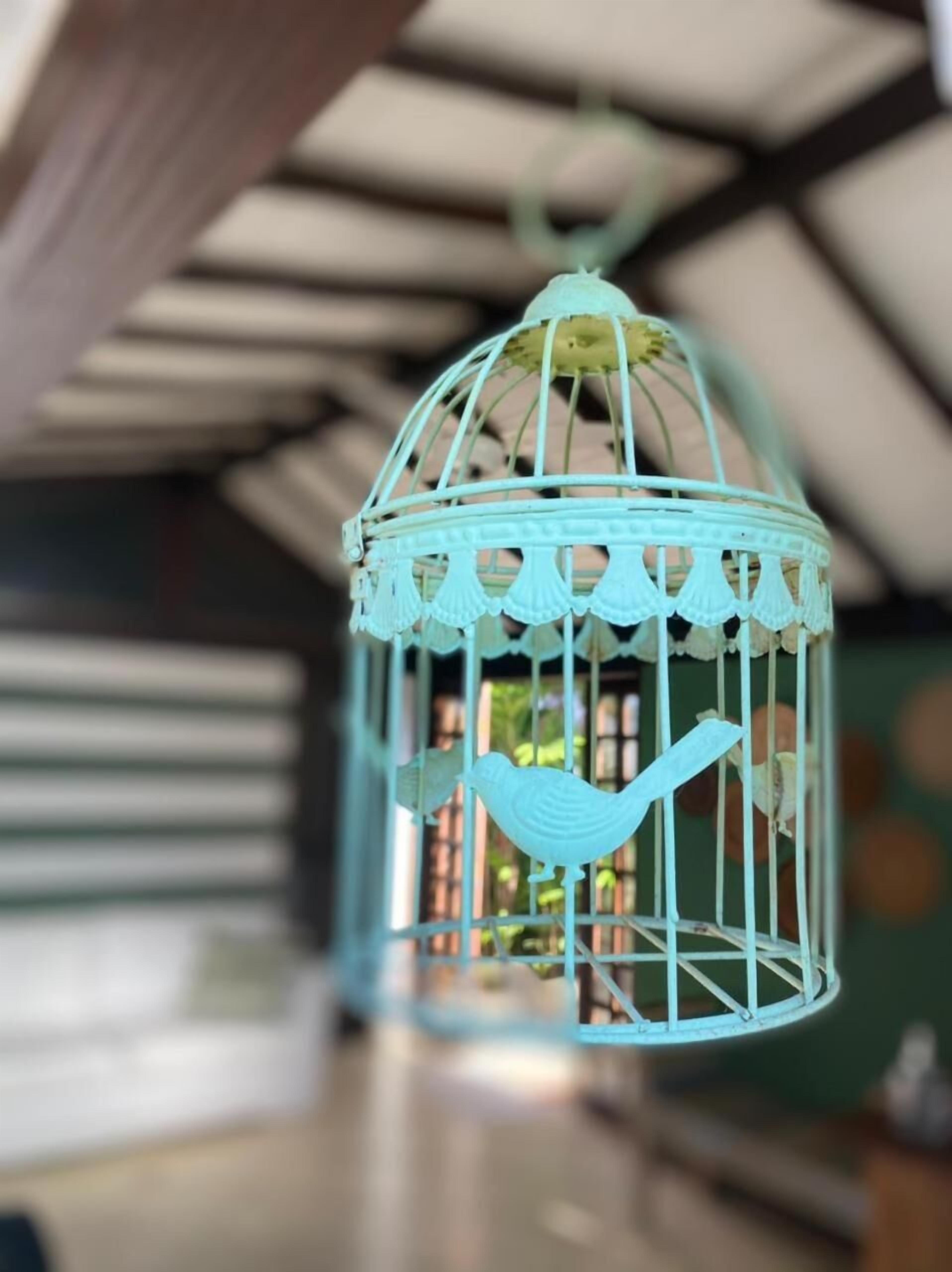 Foto - Pousada dos Contos