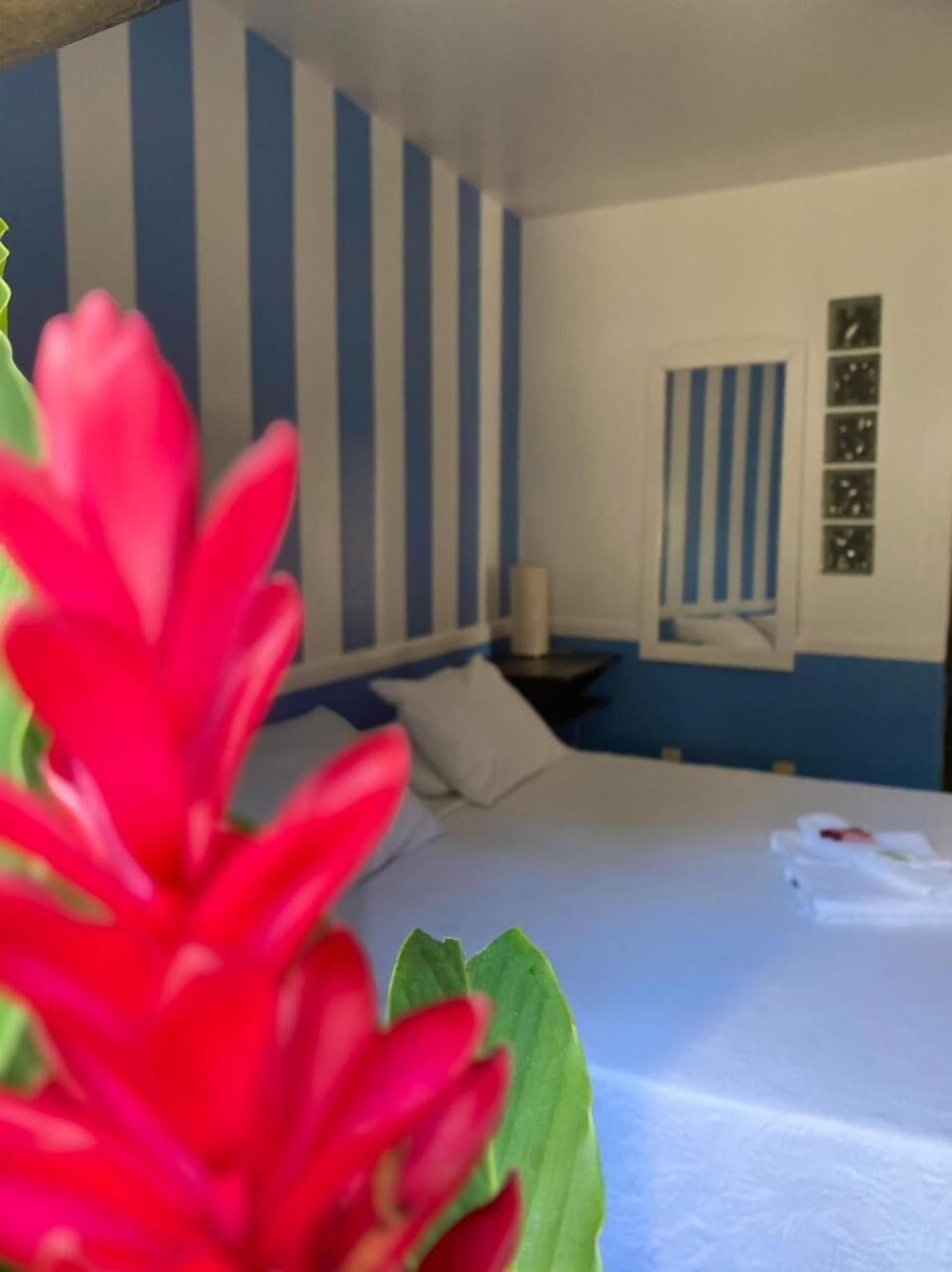 Foto - Pousada dos Contos