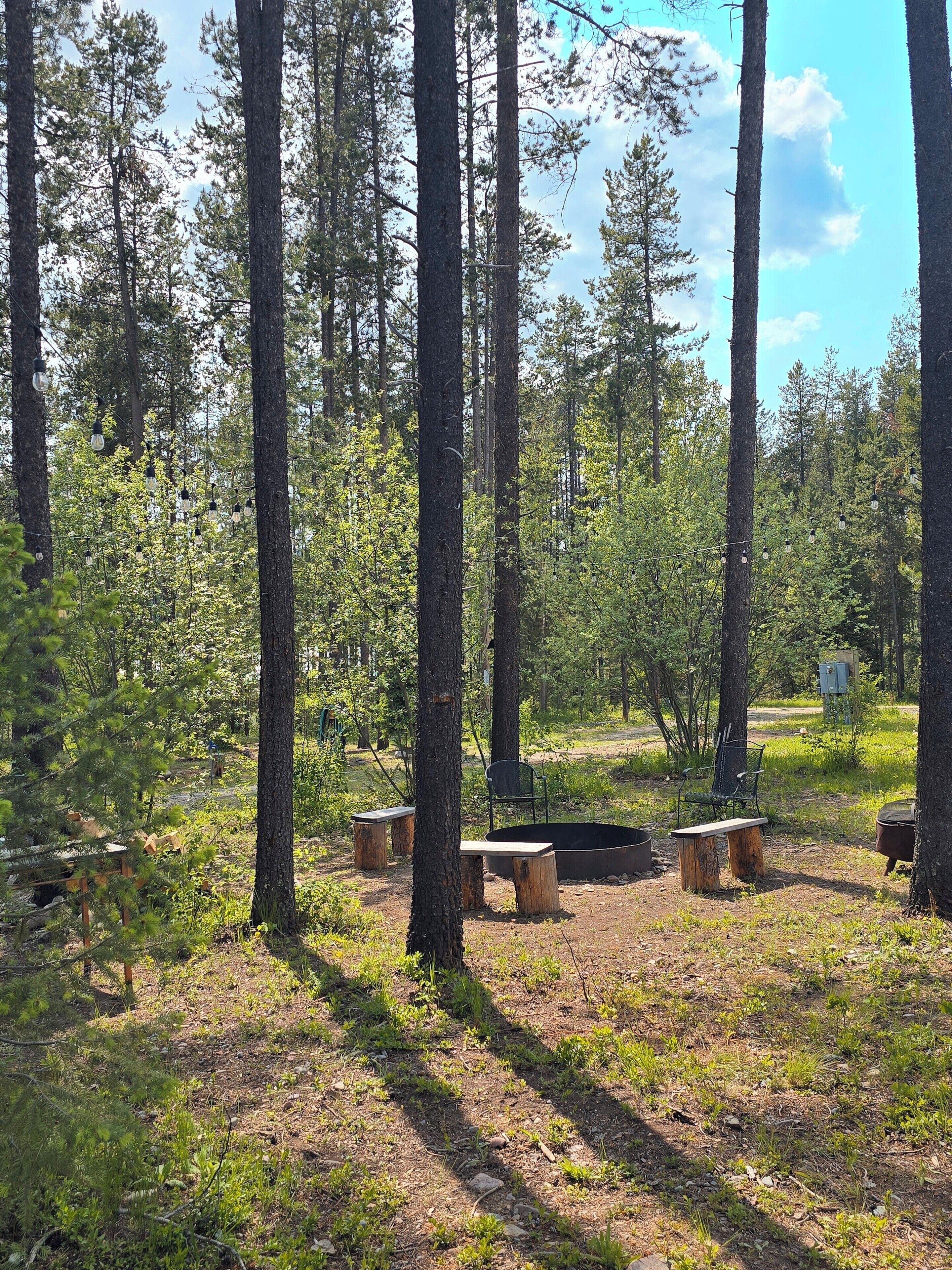 A forested area with benches and a fire pit.