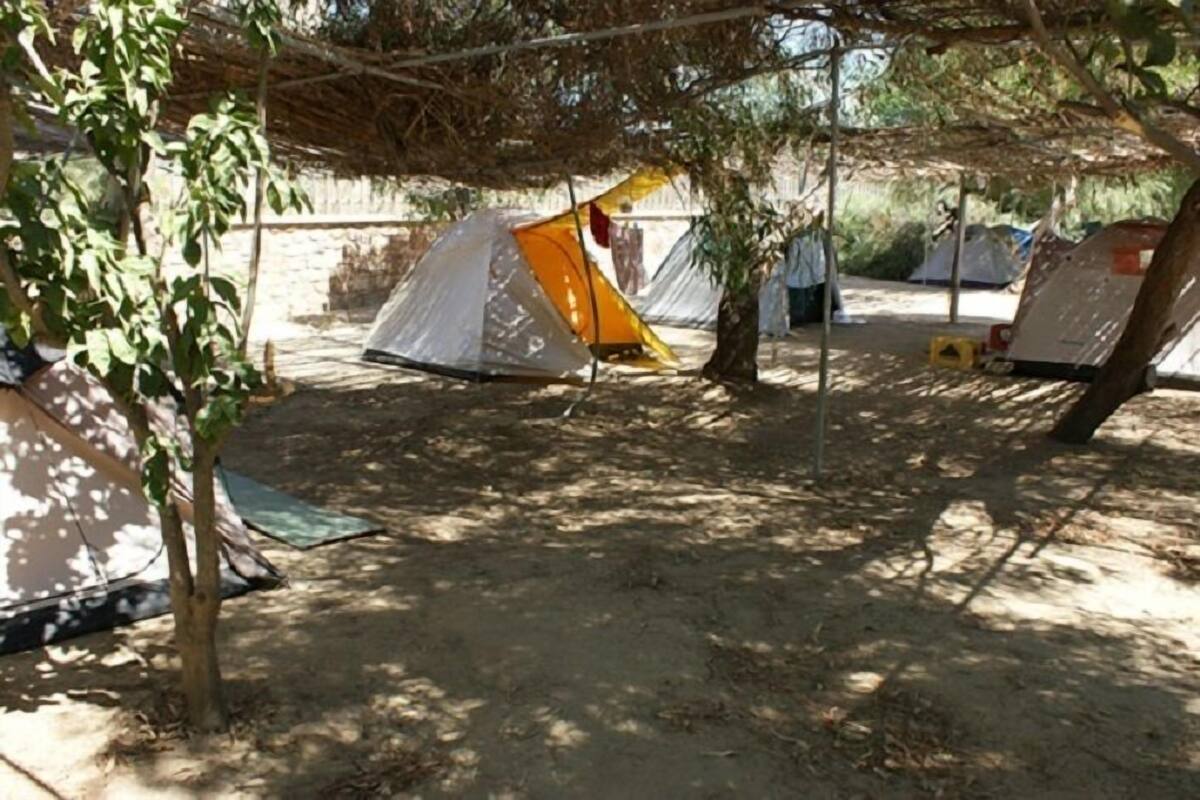 A campsite with multiple tents, some under trees, and a dirt ground.