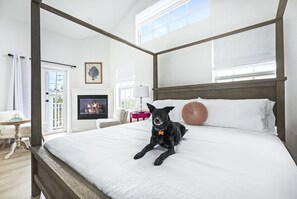 Pet-friendly