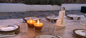 Cerca da Vinha - Monte with House Costa Alentejana