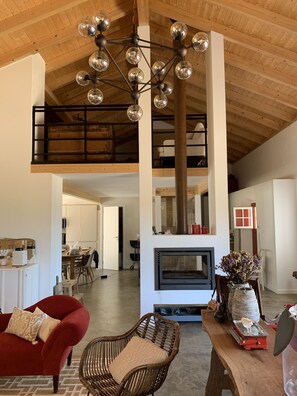 TV, fireplace, books