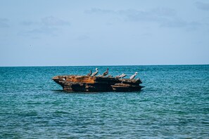 Beach/ocean view - Villa Noelia (Saboga)