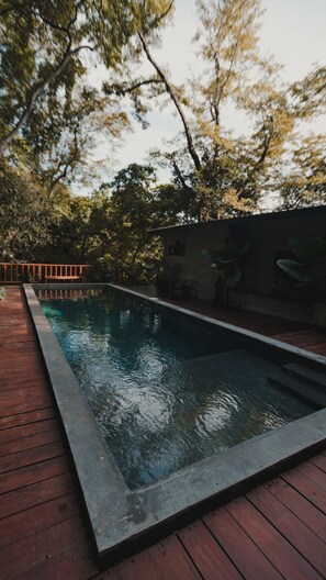 Outdoor pool - Villa Noelia (Saboga)