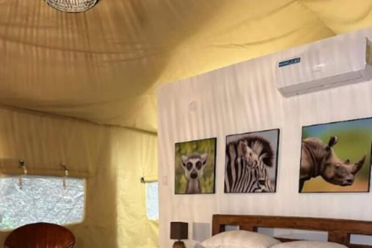 Une chambre avec un lit, une chaise et des œuvres d’art représentant des animaux accrochées aux murs.