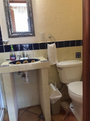 Shower, free toiletries, hair dryer, towels